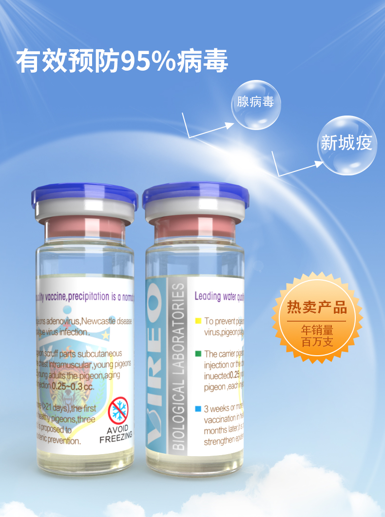 新城疫基因工程滅活水劑信鴿疫苗 科技護航信鴿健康——中信網鴿業大全推薦