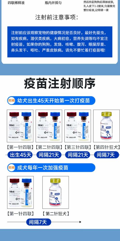 守護愛犬健康 英特威四聯與六聯疫苗全攻略